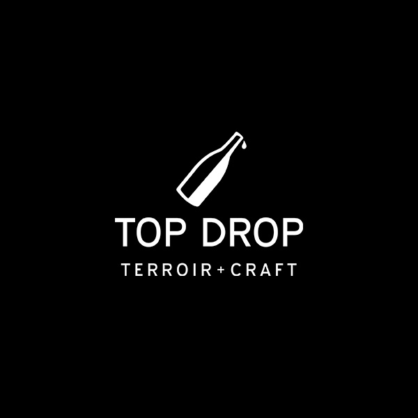 Top Drop Logo Design